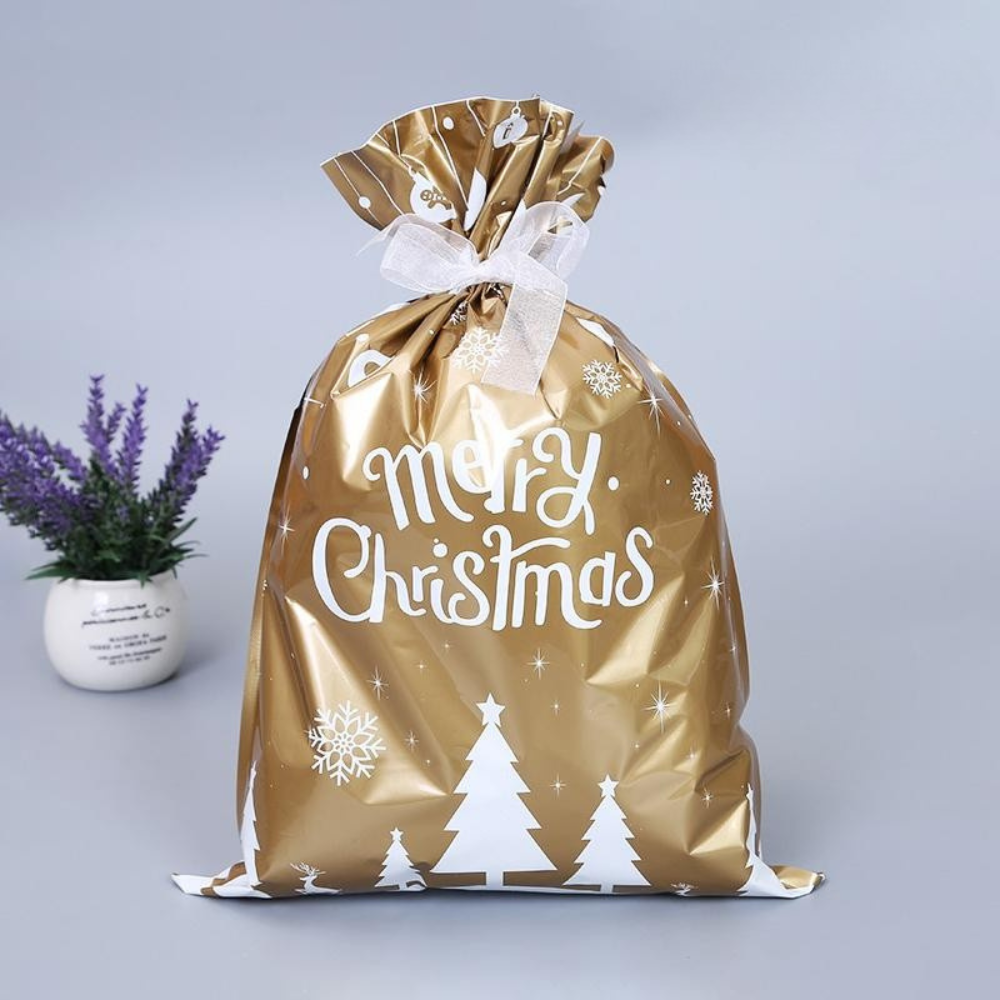 Reusable Gift Bag Christmas Ecological