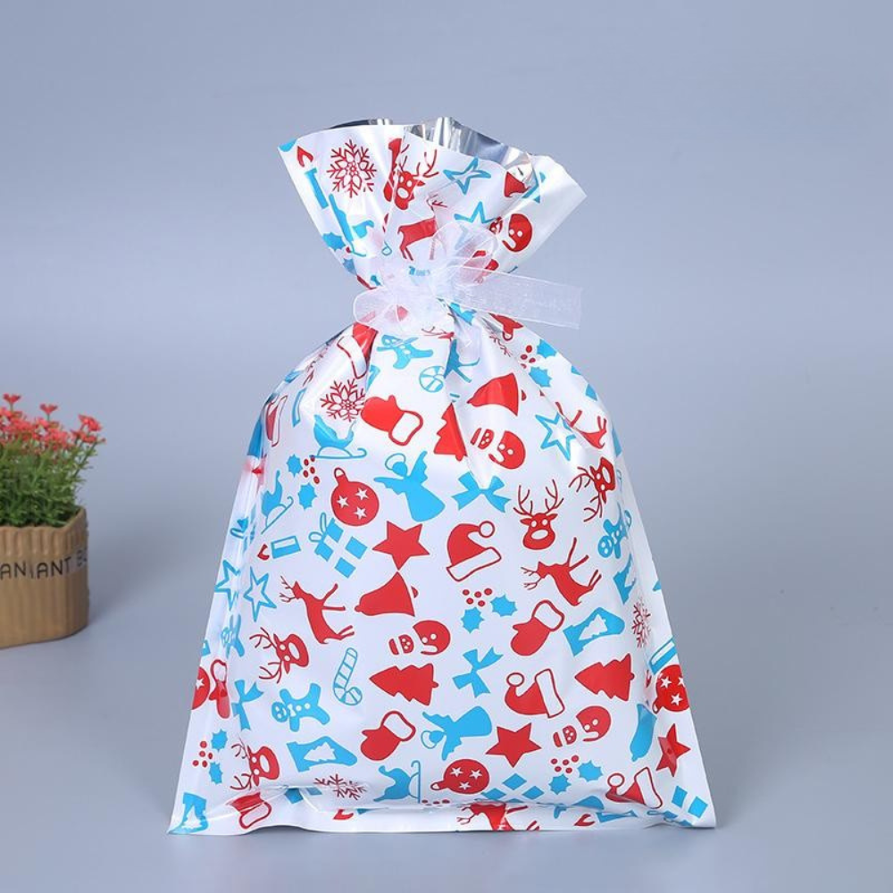 Reusable Gift Bag Christmas Ecological