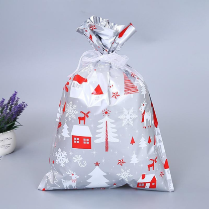 Reusable Gift Bag Christmas Ecological