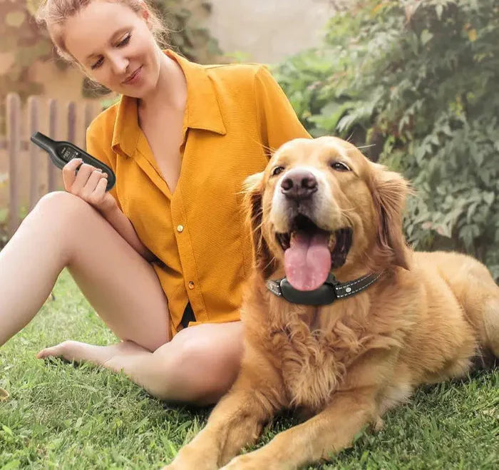 Marcherelle™ – Collier Electrique de Dressage Contrôle Précis Jusqu’à 1000 m