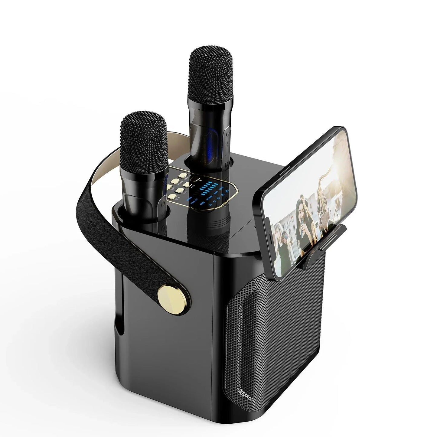Portable Singing Speaker with Two Microphones