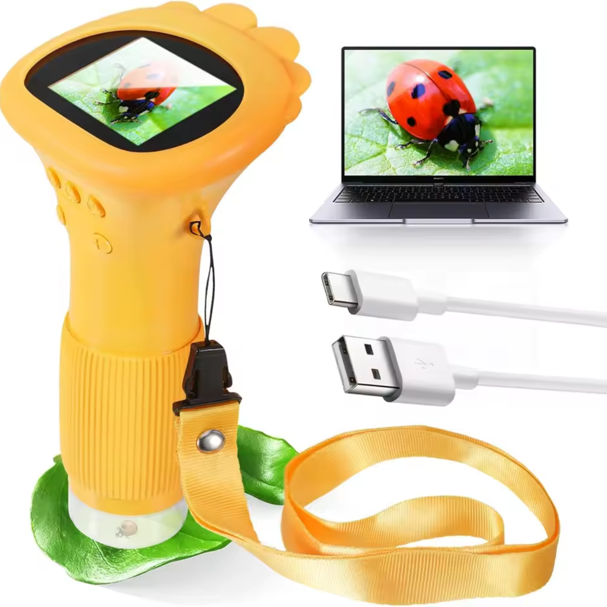 Children's Microscope with Color Digital Screen