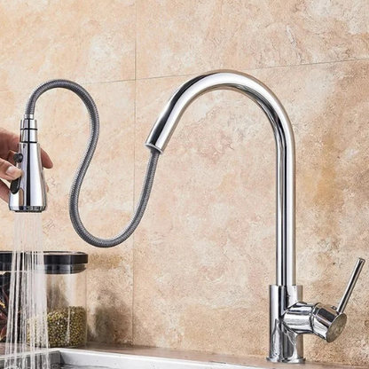 Adjustable Kitchen Faucet with Hand Shower