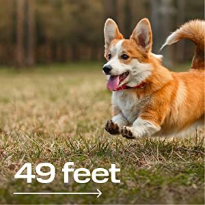 Powerful Ultrasonic Dog Repellent with Extended Range